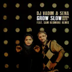 Grow Slow – Bonus Cuts - EP by DJ Vadim & Sena album reviews, ratings, credits