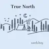 True North album lyrics, reviews, download