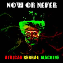 Now or Never - Single by African Reggae Machine album reviews, ratings, credits