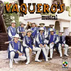 Vaquero's Musical by Vaquero's Musical album reviews, ratings, credits