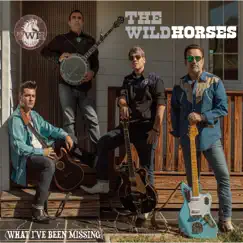 What I've Been Missing - Single by The Wild Horses album reviews, ratings, credits