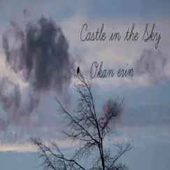 Castle in the Sky - Single by Okan Erin album reviews, ratings, credits