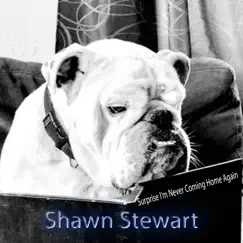Surprise I'm Never Coming Home Again - Single by Shawn Stewart album reviews, ratings, credits