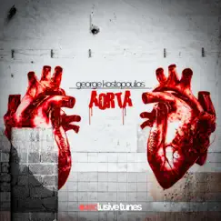 Aorta Song Lyrics