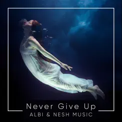 Never Give Up (feat. Albi) - Single by Nesh Music album reviews, ratings, credits