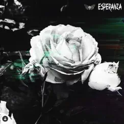 Esperanza - Single by Moth album reviews, ratings, credits