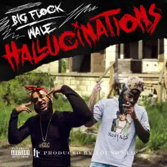 Hallucinations (feat. Wale) - Single by Big Flock album reviews, ratings, credits