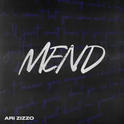 Mend - Single by Ari Zizzo album reviews, ratings, credits