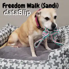 Freedom Walk (Sandi) - Single by Dataslip album reviews, ratings, credits