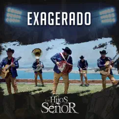 Exagerado by Los Hijos Del Señor album reviews, ratings, credits