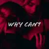 Why Cant - Single album lyrics, reviews, download