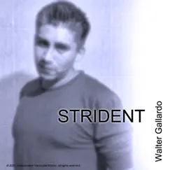 Strident by Walter Gallardo album reviews, ratings, credits