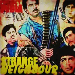 Project India (Instrumentals) by The Strange Neighbour album reviews, ratings, credits