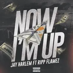Now I'm Up (feat. Ripp Flamez) - Single by Jay Harlem album reviews, ratings, credits