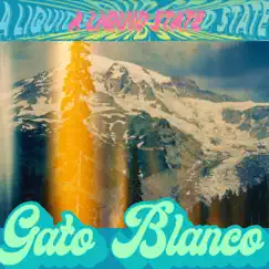 A Liquid State - EP by Gato Blanco album reviews, ratings, credits