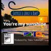 You're My Sunshine - Single album lyrics, reviews, download