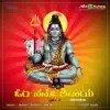 Om Namha Shivaya, Vol. 2 album lyrics, reviews, download