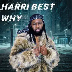 Why - Single by Harri Best album reviews, ratings, credits