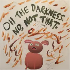 Oh the Darkness. No, Not That. by Princess Party Mountain album reviews, ratings, credits