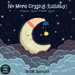 No More Crying (feat. Se'lah Genesis) Song Lyrics