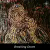 Breaking Down - Single album lyrics, reviews, download