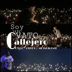 Soy un Vato Callejero - Single by Cyclo & Piter-G album reviews, ratings, credits
