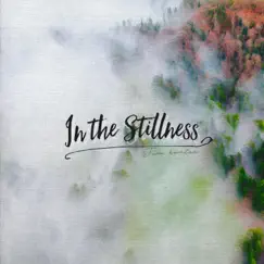 In the Stillness - Single by Tim Hunter album reviews, ratings, credits