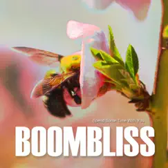 Spend Some Time With You - Single by BOOMBLISS album reviews, ratings, credits