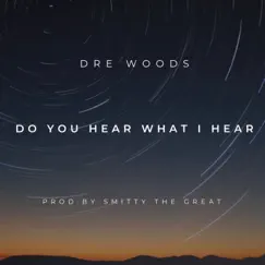 Do You Hear What I Hear - Single by Dre Woods album reviews, ratings, credits