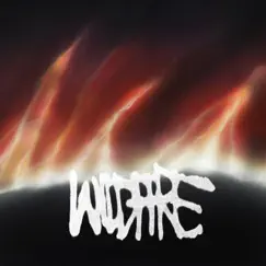 WiLDFiRE - Single by Fish narc album reviews, ratings, credits