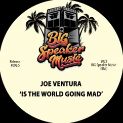 Is the World Going Mad - Single by Joe Ventura album reviews, ratings, credits