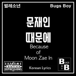 Because of Moon Zae-In - Single by Bugs Boy album reviews, ratings, credits