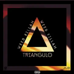 Triangulo - Single by Weed Killah & Andres Felipe Ospino album reviews, ratings, credits