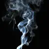 Smoked Up (feat. Je$txr) - Single album lyrics, reviews, download