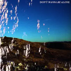 Don't Wanna Be Alone Song Lyrics