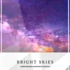 Bright Skies (feat. Jerome Molnar & Nemotions) - Single album lyrics, reviews, download