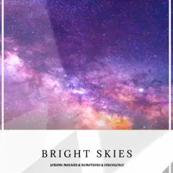 Bright Skies (feat. Jerome Molnar & Nemotions) Song Lyrics