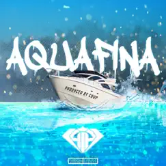 Aquafina Song Lyrics