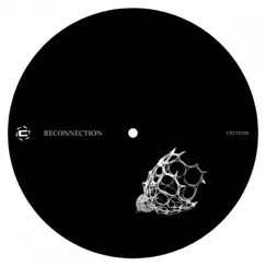 Reconnection - Single by Chipi & Spunk album reviews, ratings, credits