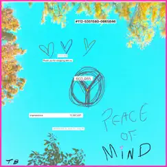 Peace of Mind - Single by Taylor Beau album reviews, ratings, credits