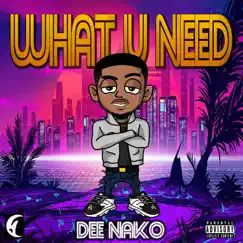What U Need - Single by Dee Nako album reviews, ratings, credits