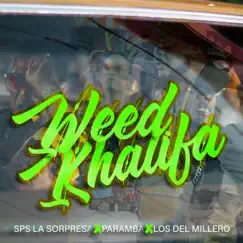 Weed Khalifa (feat. Paramba & Los Del Millero) - Single by SPS la Sorpresa album reviews, ratings, credits