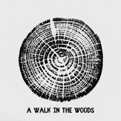 A Walk in the Woods - Single by Josh Solar album reviews, ratings, credits