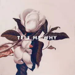 Tell Me Why (feat. Malika) Song Lyrics