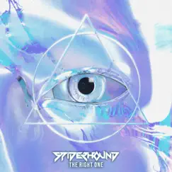 The Right One - Single by Spiderhound album reviews, ratings, credits