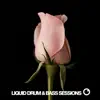 Liquid Drum & Bass Sessions Vol 12 album lyrics, reviews, download