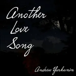 Another Love Song Song Lyrics