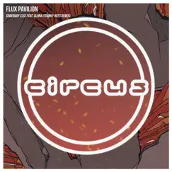 Somebody Else (feat. GLNNA) [Franky Nuts Remix] - Single by Flux Pavilion album reviews, ratings, credits