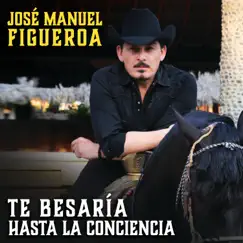 Te Besaría Hasta la Conciencia - Single by José Manuel Figueroa album reviews, ratings, credits