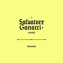 Horse Remixes - Single by Salvatore Ganacci album reviews, ratings, credits